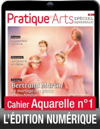 TELECHARGEMENT : Cahier spécial aquarelle 1 Achat Diverti Store