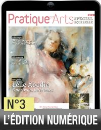 TELECHARGEMENT : Cahier spécial aquarelle 3 Achat Diverti Store