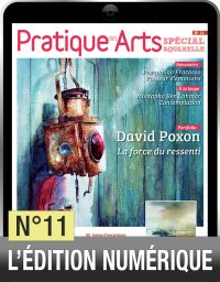 TELECHARGEMENT : Cahier spécial aquarelle 11 Achat Diverti Store