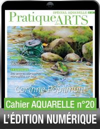 TÉLÉCHARGEMENT - Cahier spécial AQUARELLE 20 - Pratique des Arts