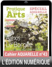 TÉLÉCHARGEMENT - Cahier spécial AQUARELLE n°43 - Pratique des Arts