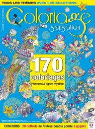coloriage sensation 11 Diverti Store Loisirs Créatifs