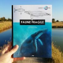Faune Fragile – Sandrot