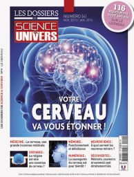Cerveau neuroscience