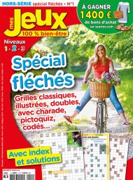 Mes Jeux 100% bien-être - Hors Série 01 - Spécial Fléchés - Niveau 1-2-3 - Diverti Editions