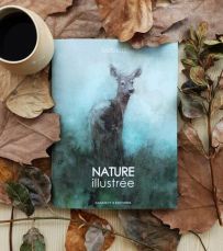 Couverture du livre "Nature illustrée" de Sandrot, photographiée sur un lit de feuilles d'automne avec une tasse de café. L'illustration douce et poétique présente une aquarelle de biche se fondant dans une brume aux teintes vert d'eau et bleutées.