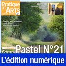 Téléchargement du Cahier spécial Pastel n°21 - Pratique des Arts