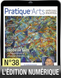 TÉLÉCHARGEMENT - Cahier spécial PASTEL n°38 - Pratique des Arts