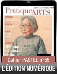 TÉLÉCHARGEMENT - Cahier spécial PASTEL 55 - Pratique des Arts