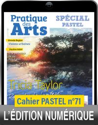 TÉLÉCHARGEMENT - Cahier spécial PASTEL n°71 - Pratique des Arts
