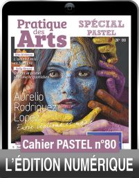 TÉLÉCHARGEMENT - Cahier spécial PASTEL n°80 - Pratique des Arts