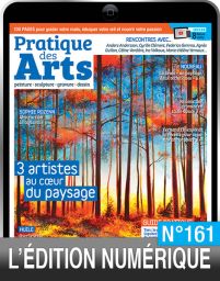 TÉLÉCHARGEMENT : Pratique des Arts n°161 en version numérique