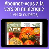 Abonnement à la Version numérique (1 AN) au magazine Pratique des Arts