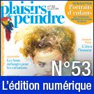 Téléchargement de Plaisirs de Peindre n°53