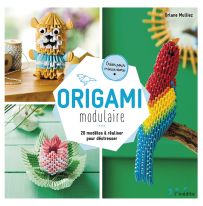 Origami modulaire - 20 modèles à réaliser pour déstresser