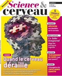 Science et Cerveau numéro 2 - Quand le cerveau déraille - Diverti Editions