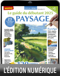 TELECHARGEMENT : Le guide du débutant 2025 PAYSAGE - Couverture