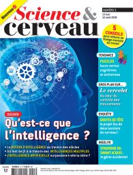 science et cerveau n°3 : qu'est-ce que l'intelligence ? Achat Diverti Store
