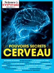 Les pouvoirs secrets du cerveau - Hors-série n°2 Science et Cerveau