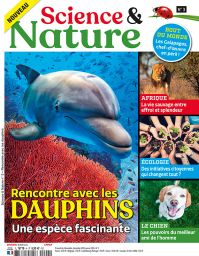Science et Nature 03 - Rencontre avec les dauphins, une espèce fascinante - Diverti Editions