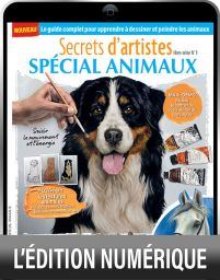 TÉLÉCHARGEMENT - Spécial Animaux - Secrets d'artistes hors-série n°1 - Magazine de Diverti Editions