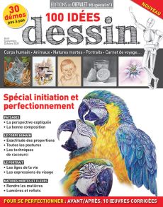 100 idées DESSIN - Spécial initiation et perfectionnement