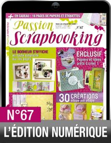 TÉLÉCHARGEMENT : Passion Scrapbooking n°67 en version numérique