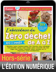 TÉLÉCHARGEMENT : DIY zéro déchet de A à Z