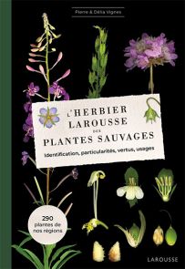 L'herbier Larousse des plantes sauvages - Identification, particularités, vertus, usages 9782036045040