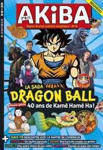 Livre sur la saga Dragon Ball AKIBA n°6 Kamé Hamé Akira Toriyama