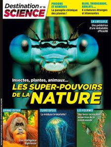 Les super-pouvoirs de la nature - Destination Science n°16 - Magazine de Diverti Editions