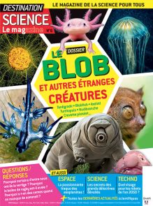 Destination Science Le magazine 6 - Le blob et autres étranges créatures 