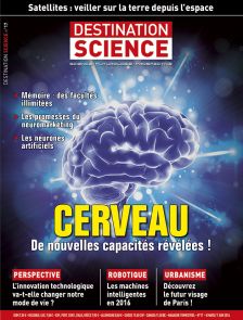 Comprendre le cerveau