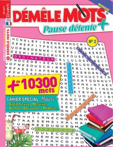 Démêle mots  pause détente + 02  - Diverti Editions
