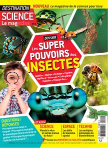 Destination science le mag n°4 : les super-pouvoirs des insectes Achat Diverti Store couverture
