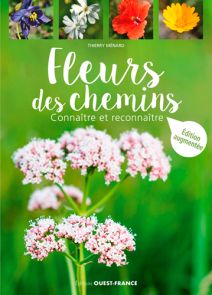 Fleurs des Chemins - Thierry Menard - Ouest France - Achat livre sur Divertistore
