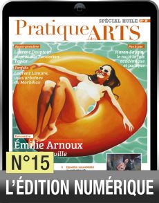 TÉLÉCHARGEMENT - Cahier spécial HUILE 15 - Pratique des arts - Achat Diverti Store