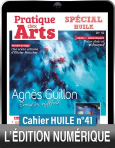 TÉLÉCHARGEMENT - Cahier spécial HUILE n°41 - Pratique des Arts