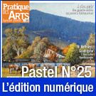 Téléchargement du Cahier spécial Pastel n°25 - Pratique des Arts