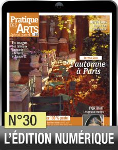 L'édition numérique du Cahier pastel n°30 de Pratique des Arts : Comment peindre les peaux mates au pastel, rendre les couleurs de l'automne ou frôler l'abstraction ?