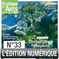 pastel pratique des arts