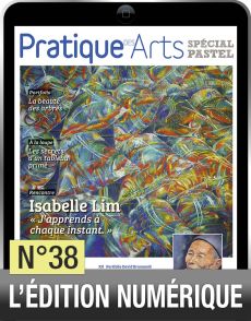 TÉLÉCHARGEMENT - Cahier spécial PASTEL n°38 - Pratique des Arts