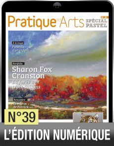 TELECHARGEMENT - Cahier Pastel n°39 - Pratique des arts