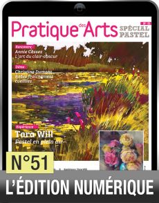 TELECHARGEMENT - Cahier Spécial Pastel 51 - Pratique des Arts - Achat Diverti Store