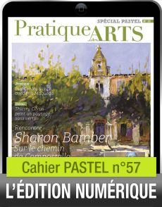 TÉLÉCHARGEMENT - Cahier spécial PASTEL n°57 - Pratique des Arts