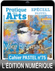 TÉLÉCHARGEMENT - Cahier spécial PASTEL n°75 - Pratique des Arts