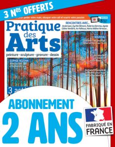 Pratique des Arts abonnement 2 ans