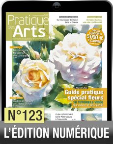 Profitez de la version numérique du magazine Pratique des Arts n°123 avec en bonus 20 tutoriels vidéo