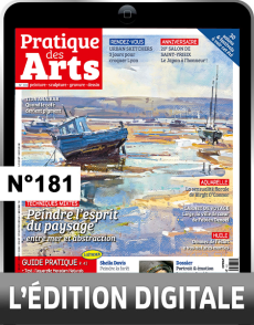 Avec le magazine Pratique des Arts n°181en version numérique, apprenez comment capturer l'âme du paysage - Achat magazine sur DivertiStore