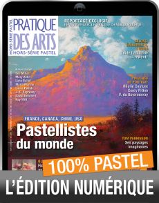 TELECHARGEMENT : spécial PASTEL Pratique des Arts hors-série n°53